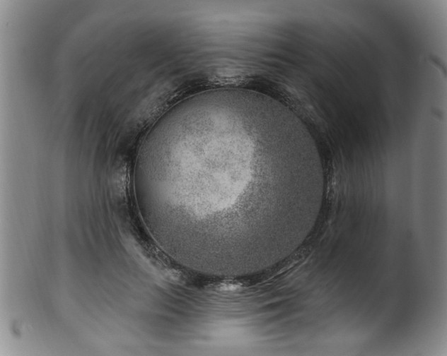 X0000100360647200806061139