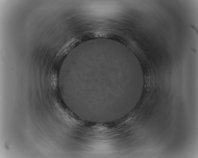 X0000100360648200806061139