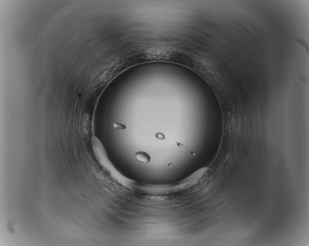 X0000100360649200806061139