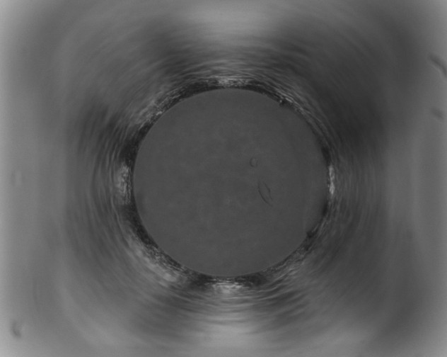 X0000100360650200806061139