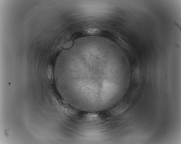 X0000100360651200806061139