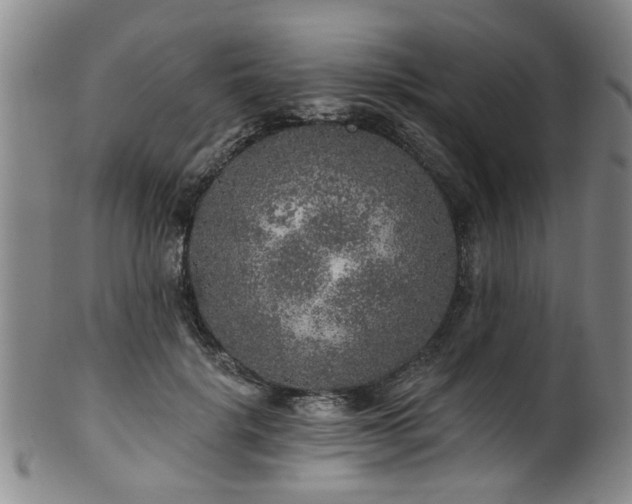 X0000100360652200806061139