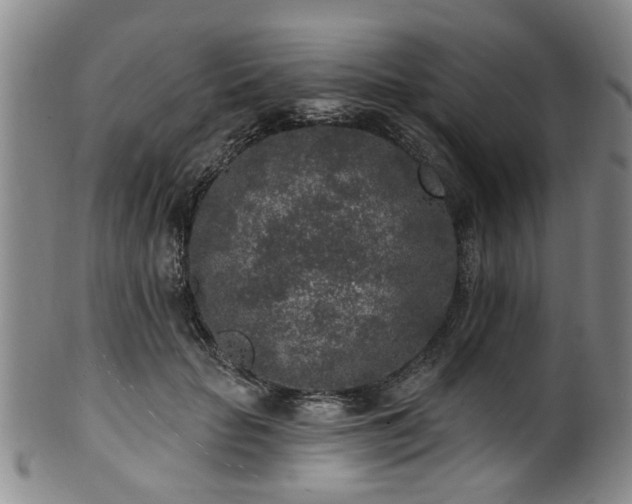 X0000100360653200806061139