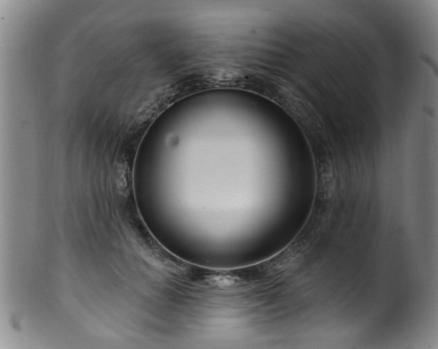 X0000100360654200806061139