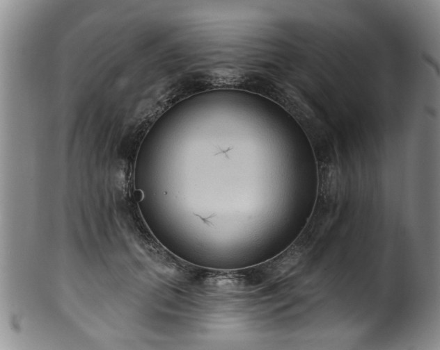 X0000100360655200806061139