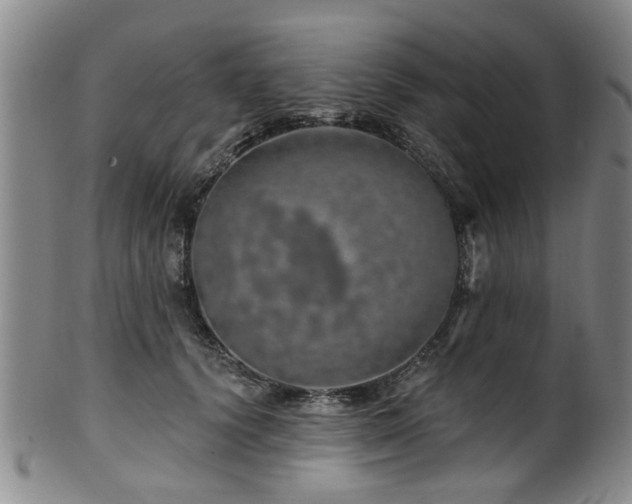 X0000100360656200806061139