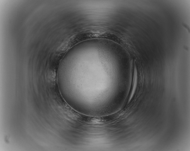 X0000100360657200806061139