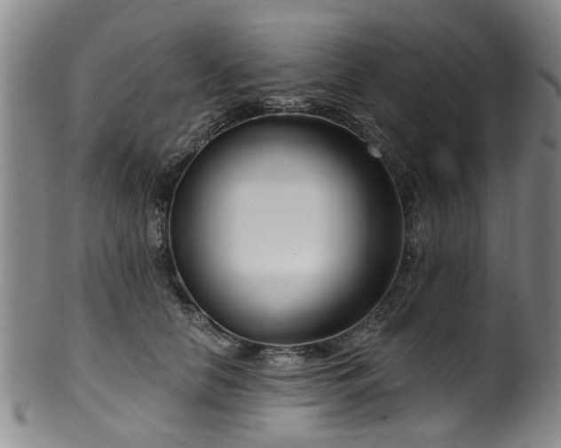 X0000100360658200806061139