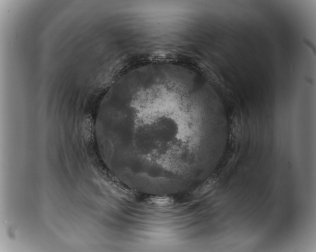 X0000100360659200806061139