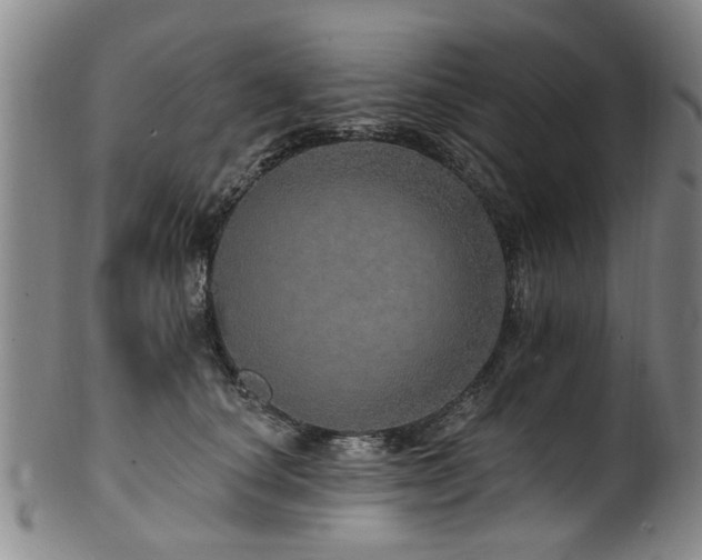 X0000100360660200806061139