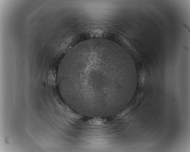 X0000100360661200806061139