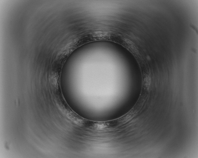 X0000100360662200806061139