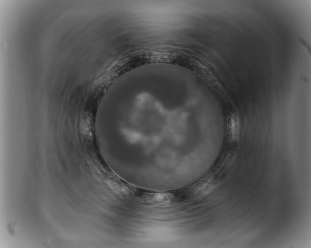 X0000100360663200806061139