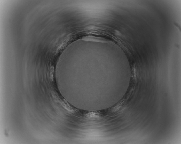 X0000100360664200806061139