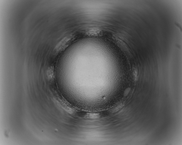 X0000100360665200806061139