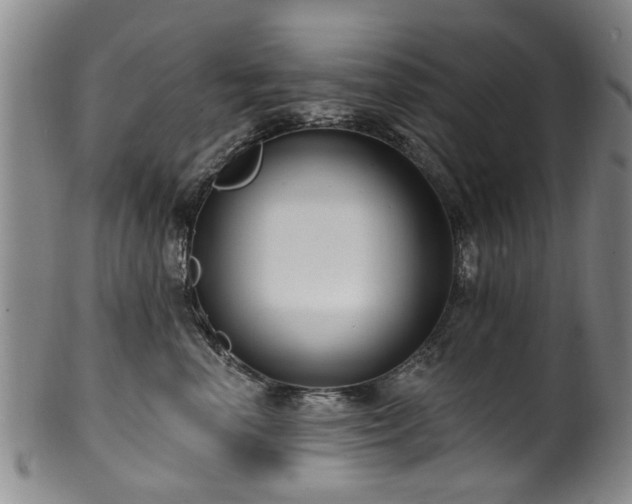 X0000100360666200806061139