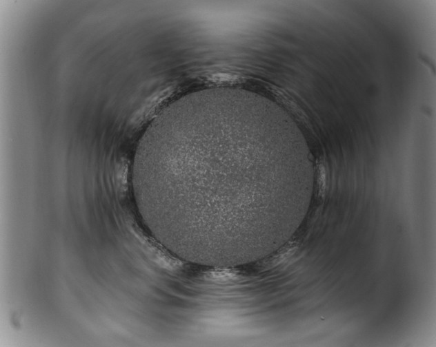 X0000100360668200806061139