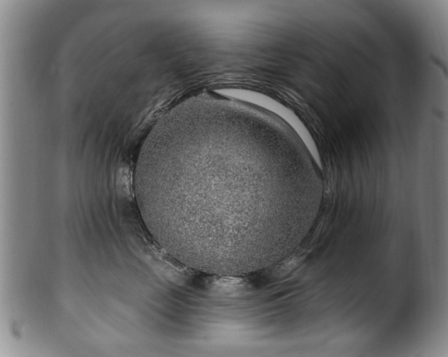 X0000100360669200806061139