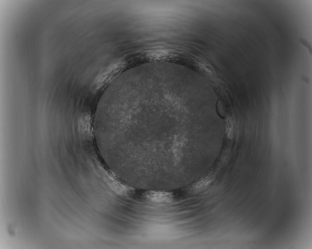 X0000100360670200806061139