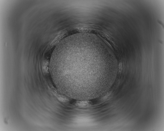 X0000100360671200806061139