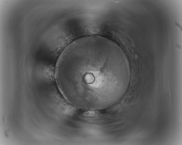 X0000100360672200806061139