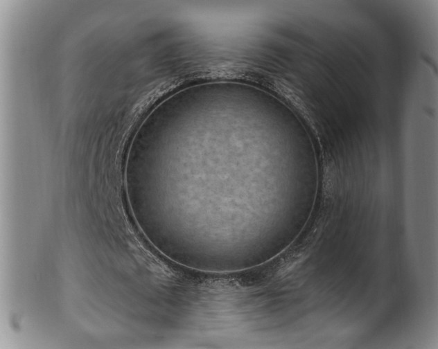 X0000100360673200806061139