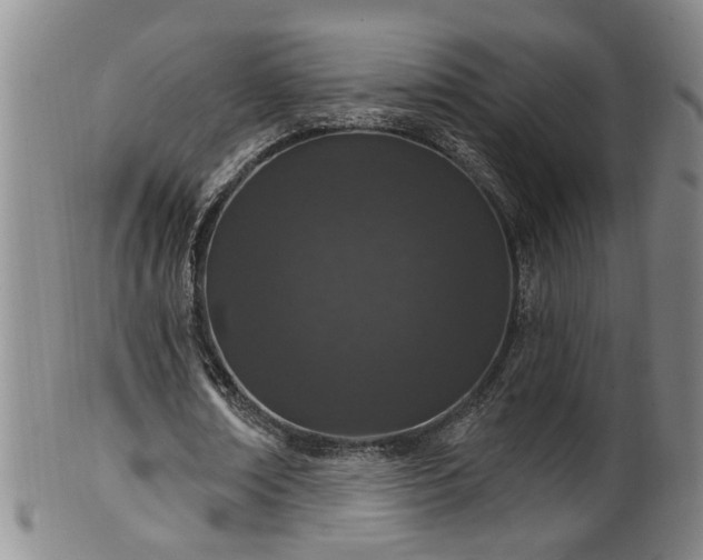 X0000100360674200806061139