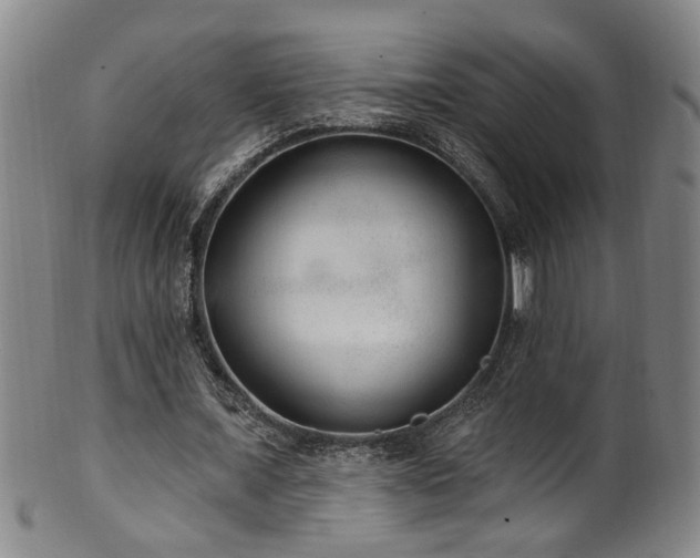 X0000100360675200806061139