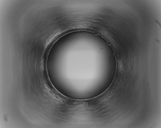 X0000100360676200806061139