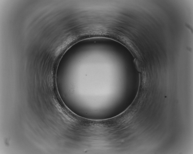 X0000100360677200806061139