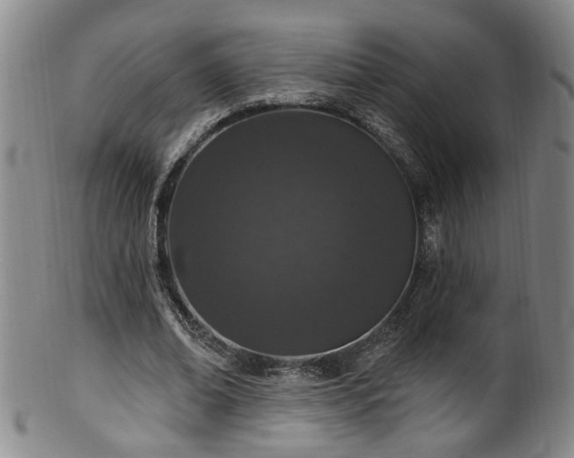 X0000100360678200806061138