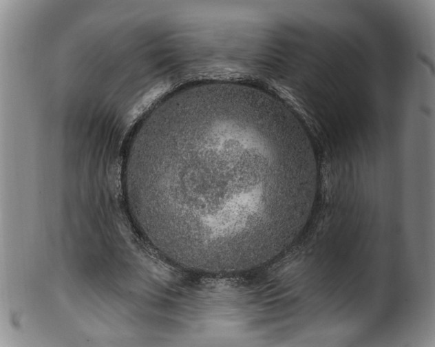 X0000100360679200806061138