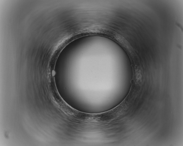 X0000100360680200806061138