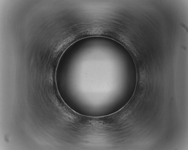 X0000100360681200806061138