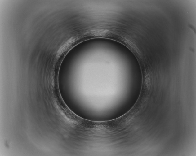 X0000100360682200806061138