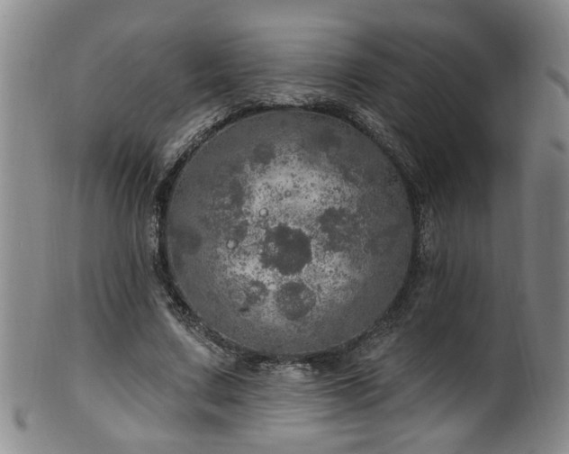 X0000100360683200806061138