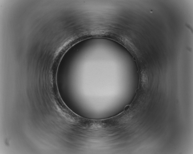 X0000100360684200806061138