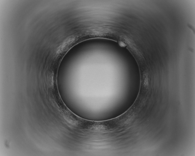 X0000100360685200806061138