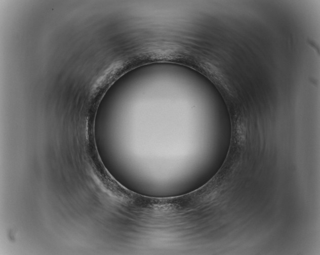 X0000100360686200806061138