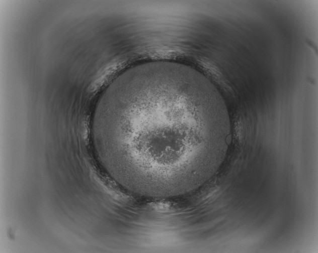 X0000100360687200806061138