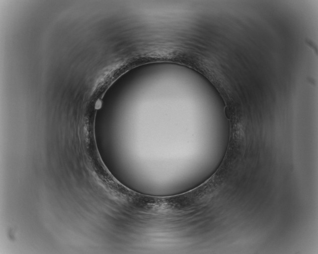 X0000100360688200806061138