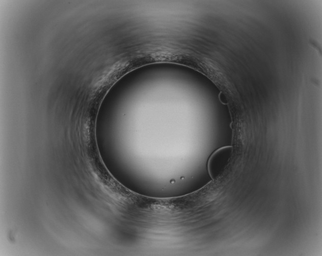 X0000100360690200806061138