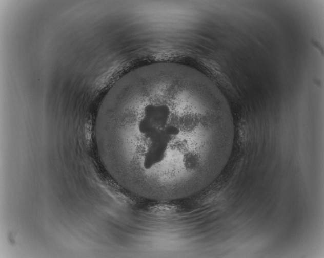 X0000100360691200806061138