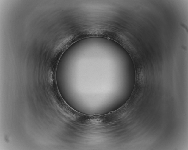 X0000100360692200806061138