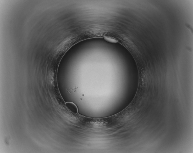 X0000100360693200806061138