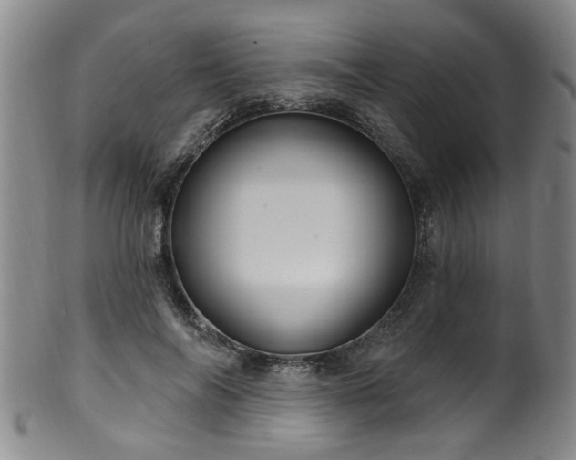 X0000100360694200806061138