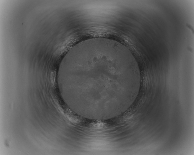 X0000100360695200806061138