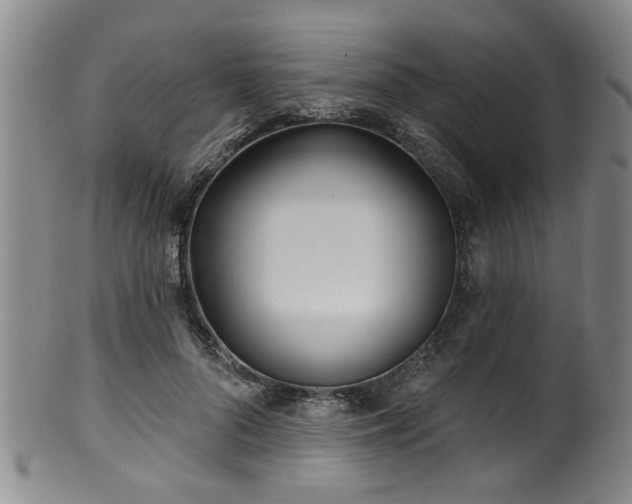 X0000100360696200806061138