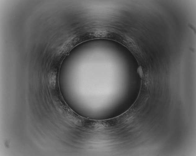 X0000100360697200806061138