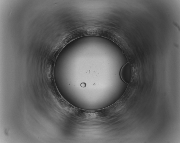 X0000100360698200806061138